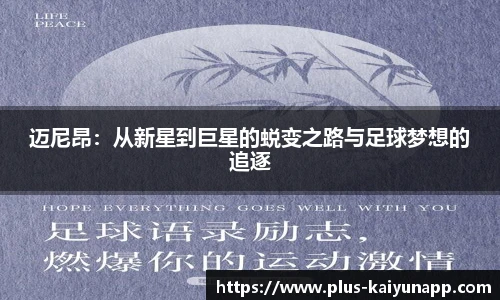 开云APP